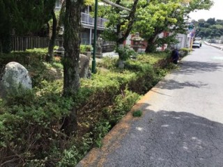 7AE60319-A478-45F5-BF2D-1A59F9DCC36D