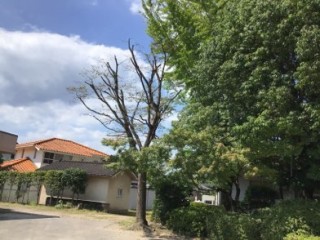 0093A69A-B983-44AC-B2BD-6022B8B6BEDB