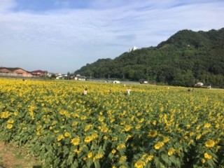 1C260D1A-3BAE-4FC1-8753-1A44EF0094BD