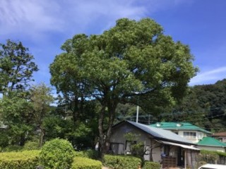 1C8A8D30-7E24-408E-8DDC-0B6A9B2816EE