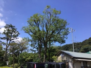 617F07BA-1701-4248-A72F-AD04CAA99785