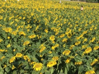 9806F0EF-2D17-4674-ABAF-EC449DEC7891