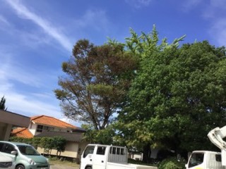 F1608BF1-A7E4-4E2C-9400-25BE13975C96