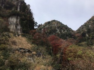 4B8FD8AA-DD86-45C1-BF2B-9687D815D007