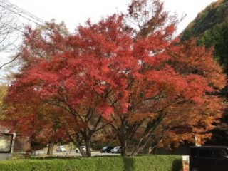 79CDEA83-DA79-4AB4-B610-8B02323562EB