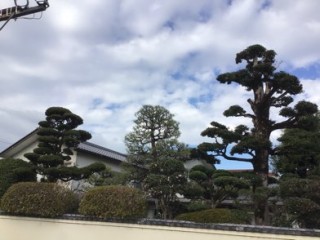 F3D12F92-BEA5-44F8-AB6F-CA32D8745A89