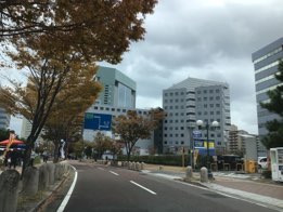 26F6F8FE-AF66-47F1-A1FC-706348F78BEF