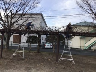 4D0715CD-7581-42BA-A993-03DE478957FE