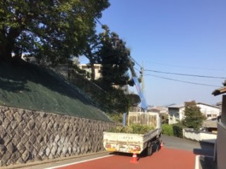 C2EDF9A0-FB9F-4714-A0D1-DEEEB6E53404