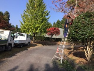 DBD952AA-A1DC-42F5-BC57-E2321E535CF6