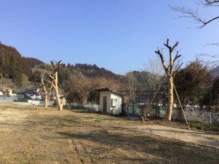 983E2152-CBA6-4D7F-8243-0EBA25C9FABB