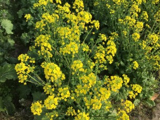 D142301A-83A9-4D03-8FDB-0F4CCF639086